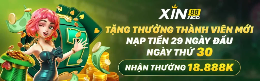 xin88.ngo_banner